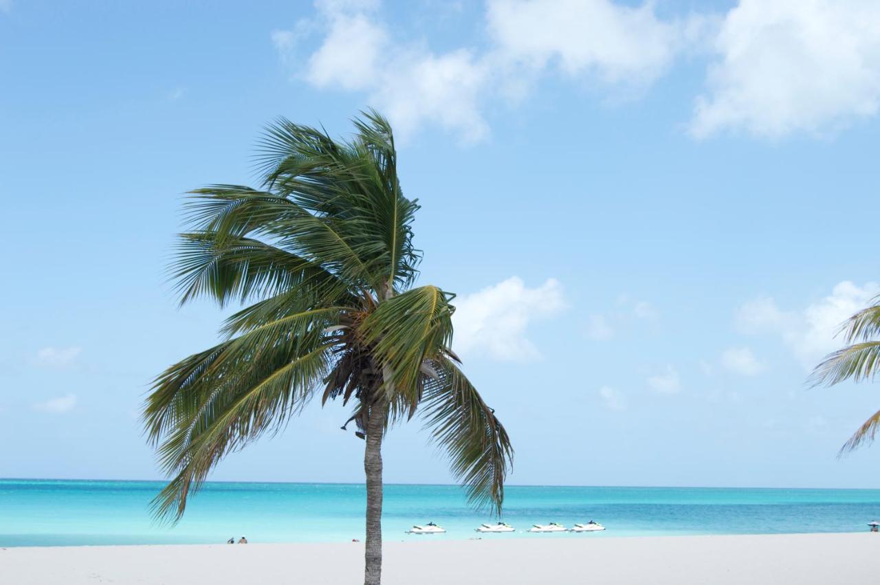 Yoyita Suites Aruba Villa パームビーチ エクステリア 写真